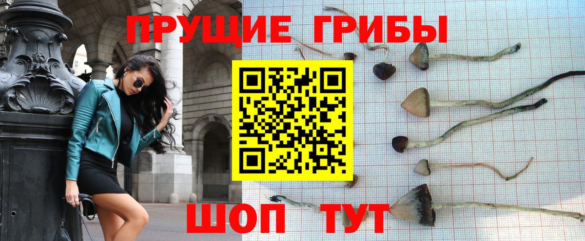 Красноармейск  Псилоцибиновые грибы Magic Shrooms  Вход с VPN  Псилоцибиновые грибы ЛСД 